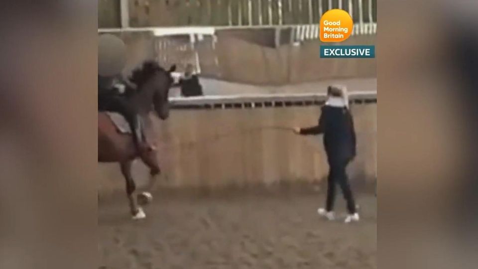 Olympia compact: Penalty order requested against show jumper Kühner