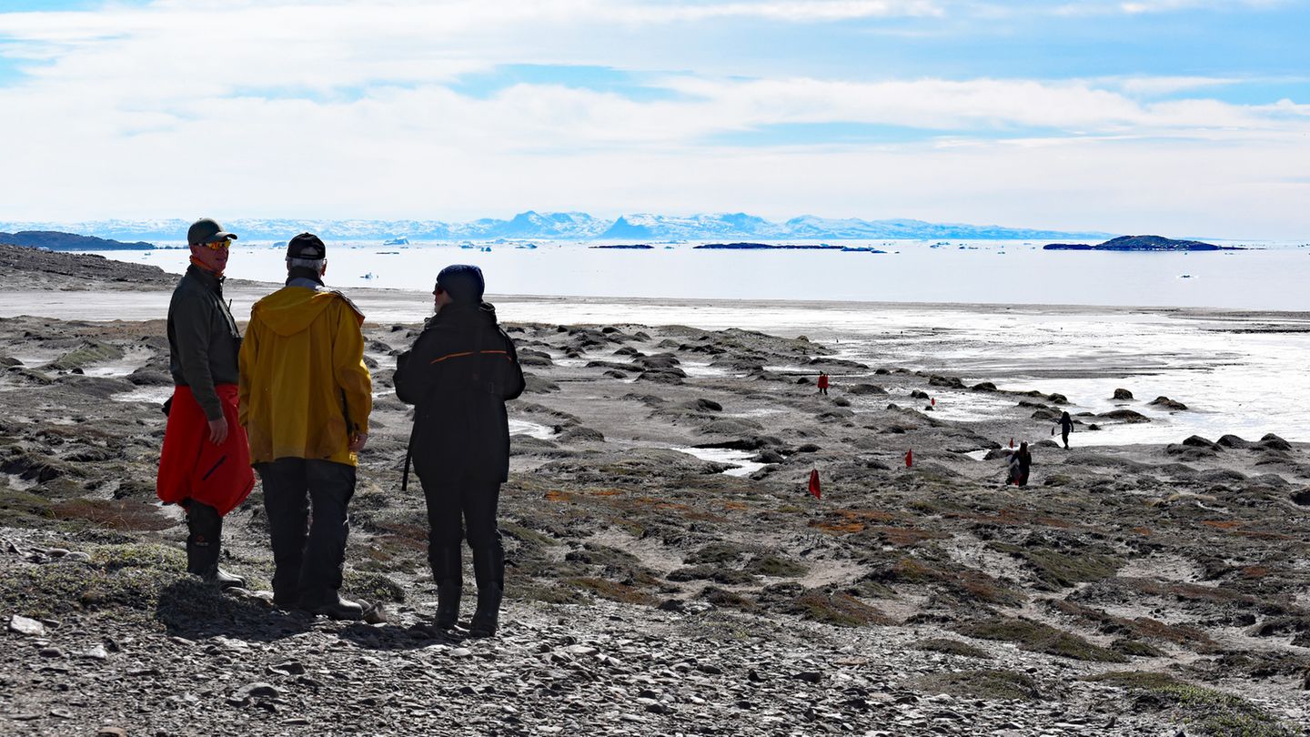 Expedition in Grönland