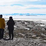 Expedition in Grönland