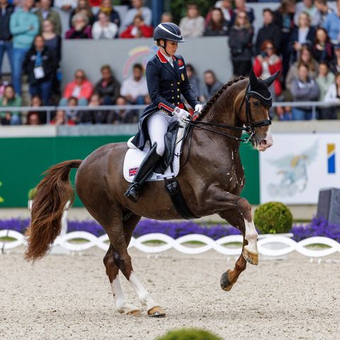 Charlotte Dujardin auf Imhotep beim Chio in Aachen