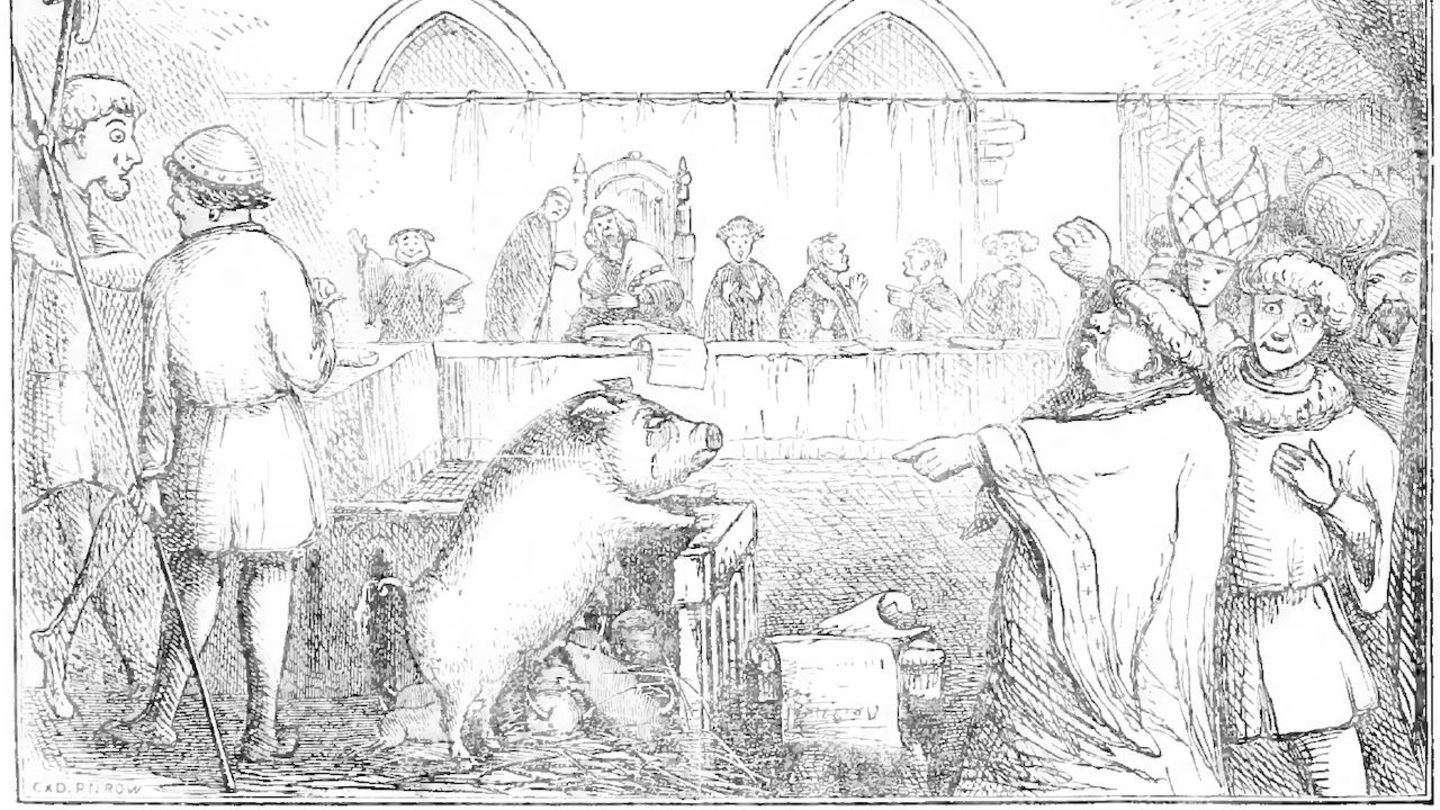 Zeichnung eines Schweins im Gerichtssaal aus dem Mittelalter Zeichnung eines Schweins im Gerichtssaal aus dem Mittelalter