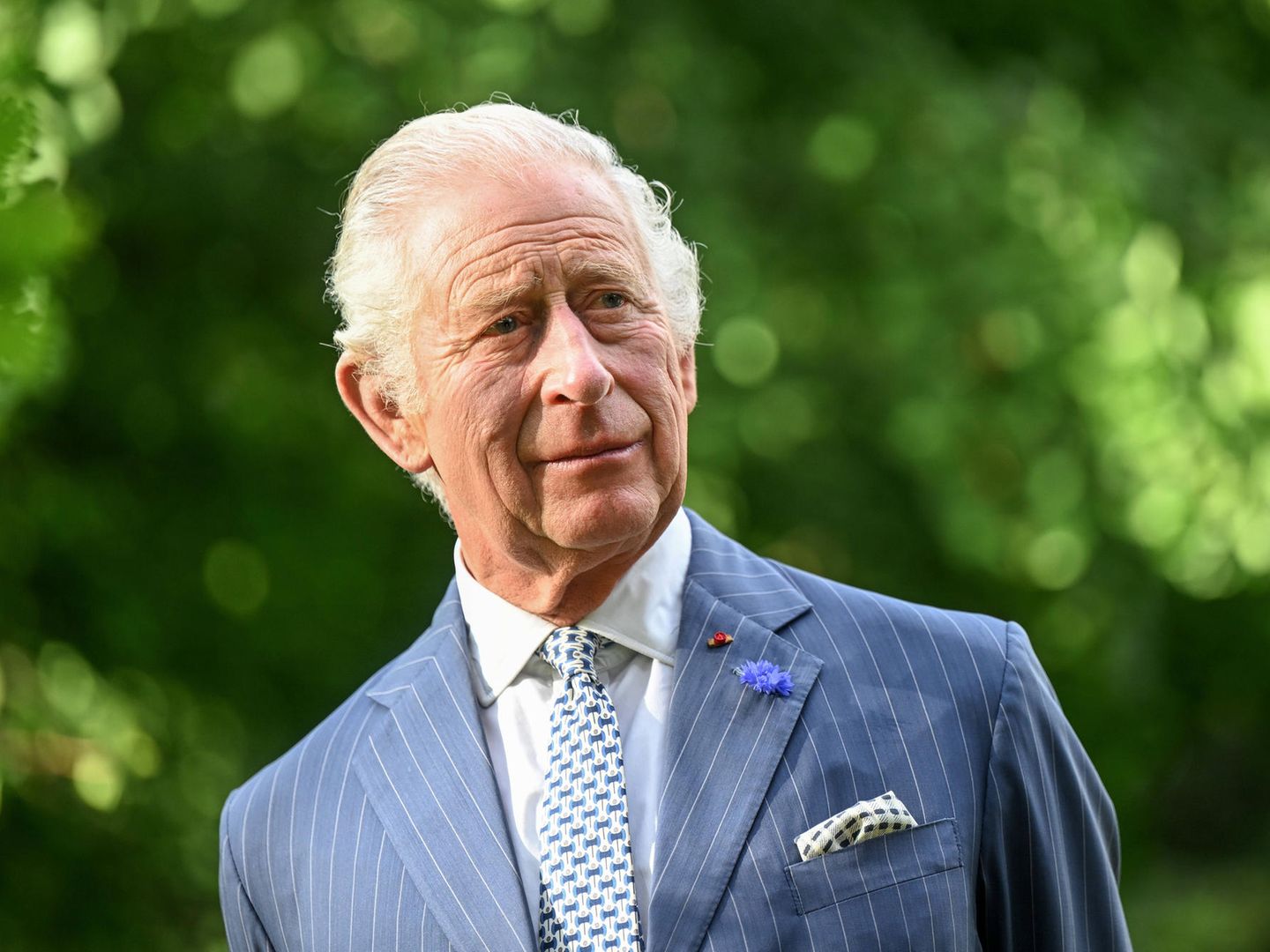 König Charles III. macht ernst mit seiner Energiewende | STERN.de