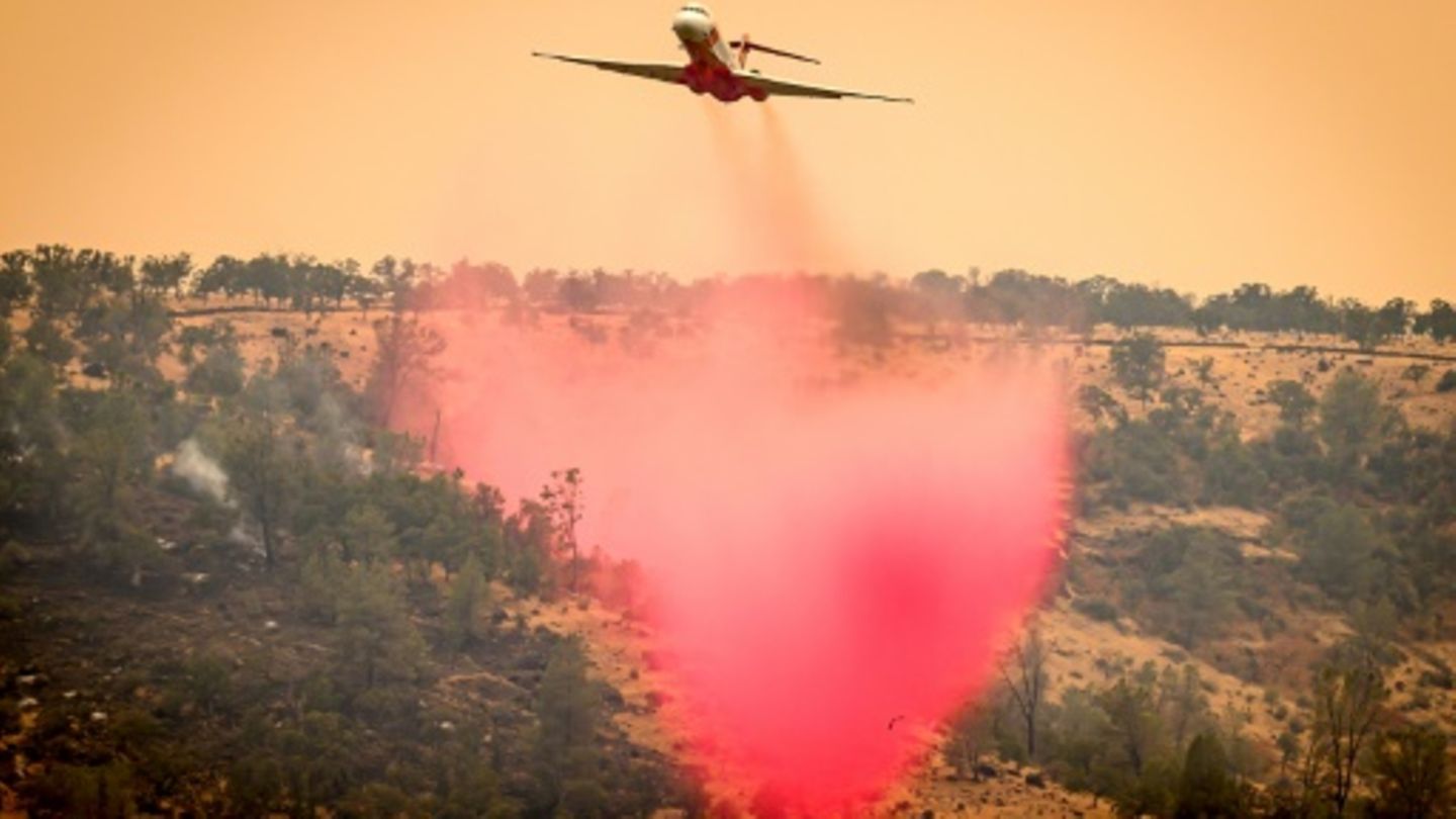 Flammeninferno zerstört mehr als 140.000 Hektar im Norden Kaliforniens