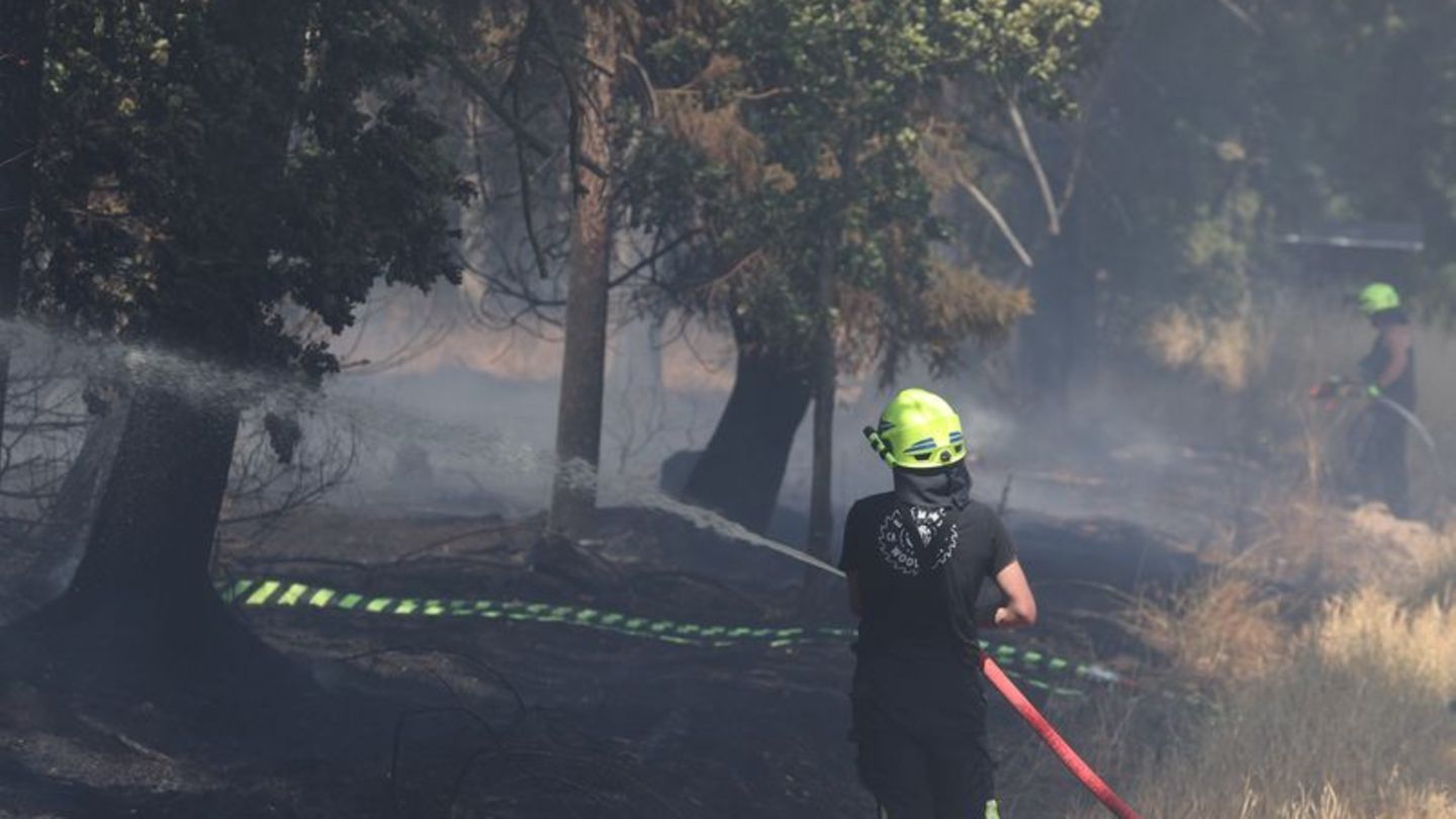 Fahrlässig verursacht: Landesforst gibt Tipps gegen Waldbrände