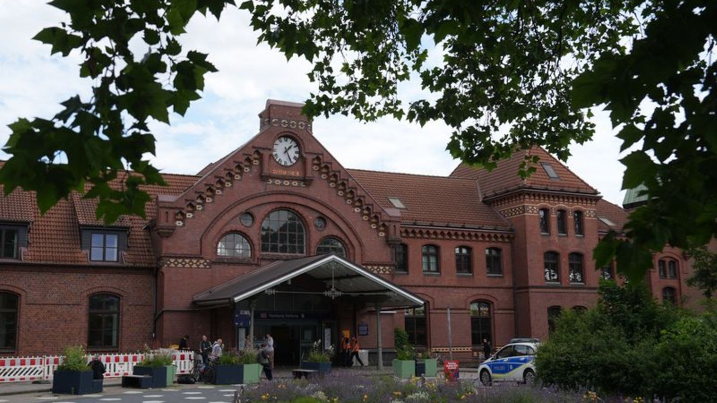 Mit Haftbefehl gesucht: Gesuchter Mann schreit laut in Harburger Bahnhof herum