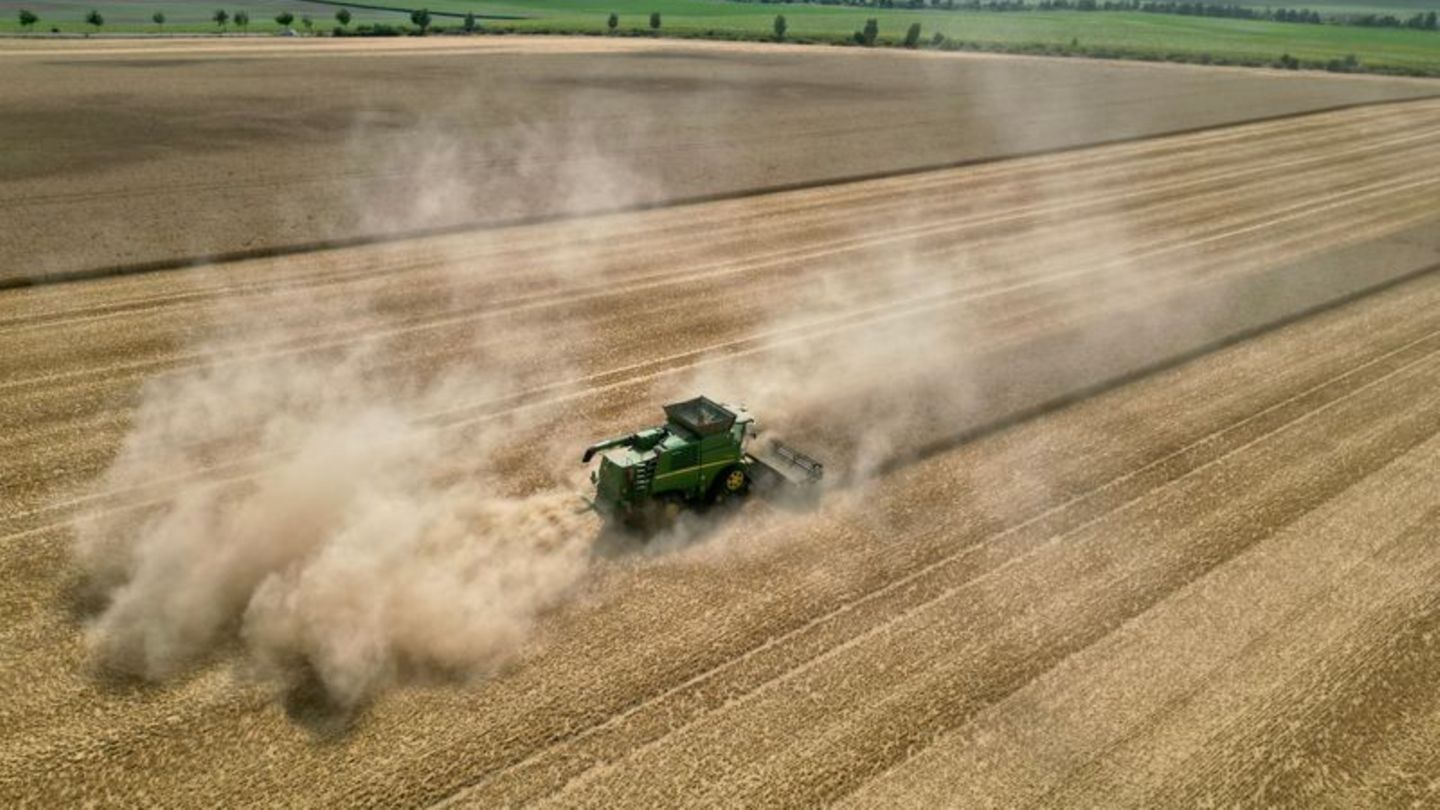 Agrar: Bauernverband: Wetter erschwert Ernte