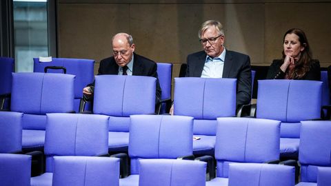 Die Linke im Bundestag