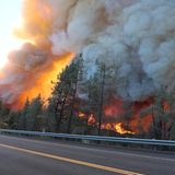 Die Ermittler gehen davon aus, dass der Brand absichtlich gelegt wurde. Ein Verdächtiger wurde bereits in der vergangenen Woche festgenommen und musste sich nun vor Gericht verantworten