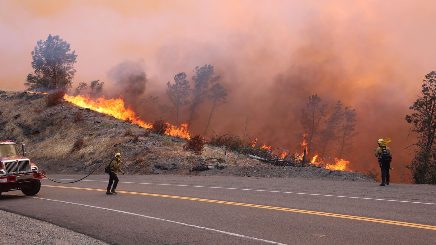 Fast 4900 Feuerwehrleute und 400 Löschfahrzeuge sollen das Inferno eindämmen. Das "Park Fire" wütet seit Mittwoch vergangener Woche in einer Region rund drei Autostunden nordöstlich von San Francisco   