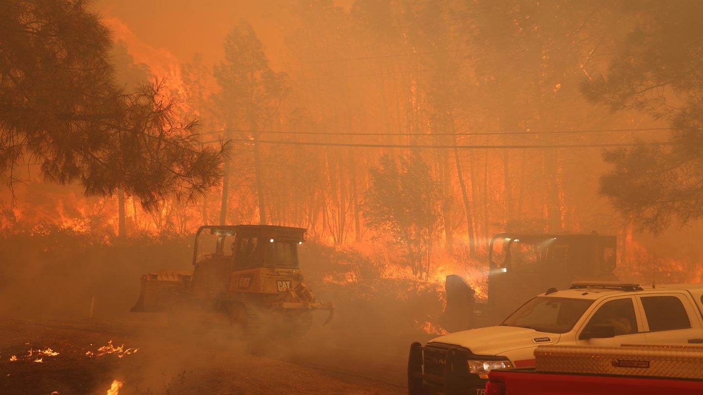 "Park Fire": "Dieses Feuer ist extrem unbeständig und unvorhersehbar", sagte der Sheriff von Tehama County, Dave Kain, am Montag bei einer Pressekonferenz. "Wir haben gesehen, wie viele Orte, von denen wir dachten, es wäre sicher, dorthin zurückzugehen, erneut in Flammen aufgingen." "Dieses Feuer ist extrem unbeständig und unvorhersehbar", sagte der Sheriff von Tehama County, Dave Kain, am Montag bei einer Pressekonferenz. "Wir haben gesehen, wie viele Orte, von denen wir dachten, es wäre sicher, dorthin zurückzugehen, erneut in Flammen aufgingen."