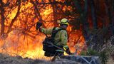 Am Samstag hatte die Feuerwehr leichte Fortschritte im Kampf gegen die Flammen gemeldet. Einen Tag später fachten Wind und Hitze das Feuer erneut an und breiteten es aus
