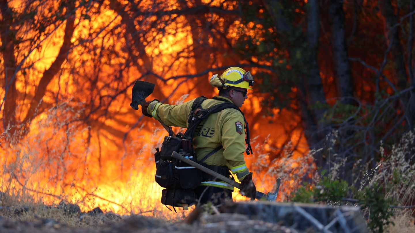 Am Samstag hatte die Feuerwehr leichte Fortschritte im Kampf gegen die Flammen gemeldet. Einen Tag später fachten Wind und Hitze das Feuer erneut an und breiteten es aus