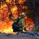 Am Samstag hatte die Feuerwehr leichte Fortschritte im Kampf gegen die Flammen gemeldet. Einen Tag später fachten Wind und Hitze das Feuer erneut an und breiteten es aus