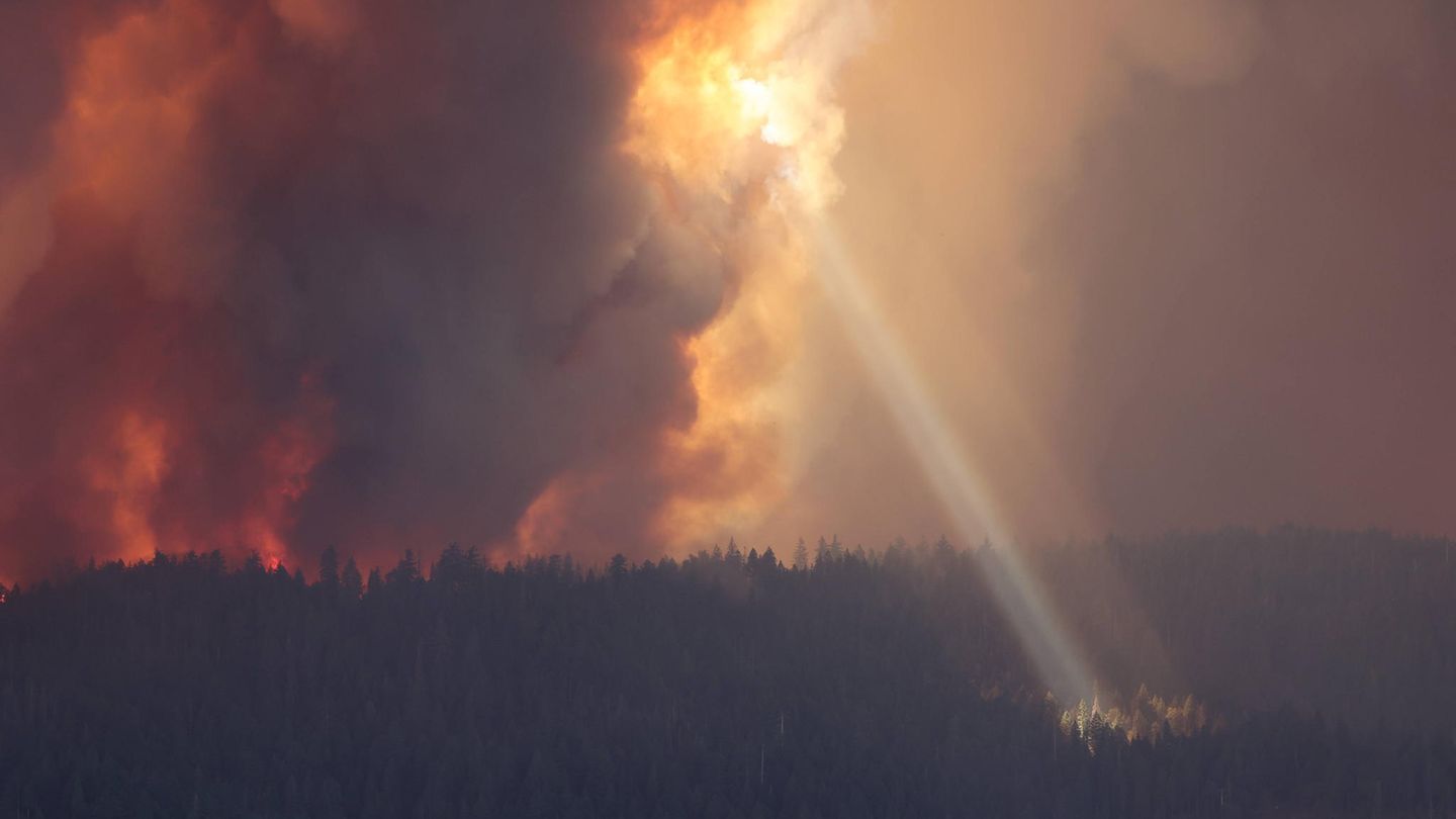 Experten sehen den Klimawandel als Ursache für extremere Wetterbedingungen, die wiederum zu häufigeren und heftigeren Waldbränden führen