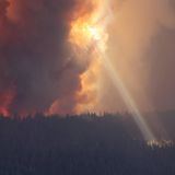 Experten sehen den Klimawandel als Ursache für extremere Wetterbedingungen, die wiederum zu häufigeren und heftigeren Waldbränden führen