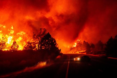 Kein Ausweg in Sicht: Ein Anwohner wollte den Flammen über den Highway 36 in der Nähe von Paynes Creek entkommen. Doch nun muss er umdrehen. Der Waldbrand im Norden Kaliforniens ist das sechstgrößte Feuer in der Geschichte Kaliforniens