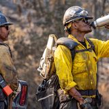 Auch der Durst muss gelöscht werden. Der Sommer ist in Kalifornien Waldbrandsaison. In den heißen Monaten brechen immer wieder Feuer aus, wie hier Anfang Juli beim "Lake Fire" in der Nähe von Santa Barbara