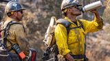 Auch der Durst muss gelöscht werden. Der Sommer ist in Kalifornien Waldbrandsaison. In den heißen Monaten brechen immer wieder Feuer aus, wie hier Anfang Juli beim "Lake Fire" in der Nähe von Santa Barbara