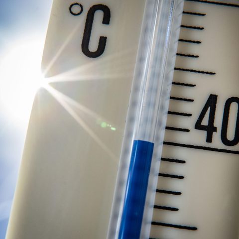 Extreme Hitze: Am Rhein könne lokal die 35-Grad-Marke geknackt werden, warnt der Deutsche Wetterdienst