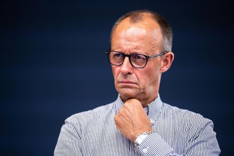 Friedrich Merz schaut skeptisch in die Ferne