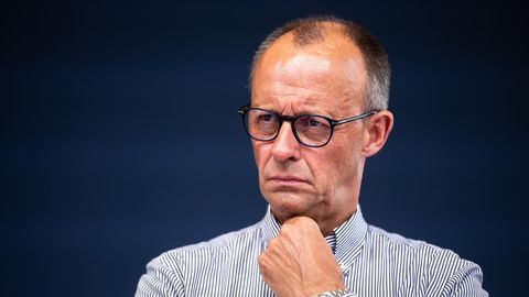 Friedrich Merz schaut skeptisch in die Ferne