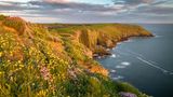 Kinsale