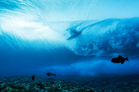 Auch unter Wasser lauern Zuschauer: Der italienische Surfer Leonardo Fioravanti in der Welle aus Fisch-Perspektive.