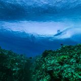 Das flache Korallenriff unter den Wellen in Teahupo'o. Es sorgt für die einzigartigen Wellen, für magische Bilder und für Schnittwunden beim Surfen. 