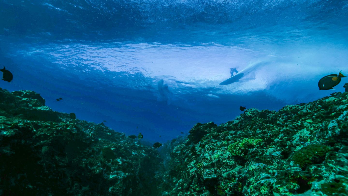 Das flache Korallenriff unter den Wellen in Teahupo'o. Es sorgt für die einzigartigen Wellen, für magische Bilder und für Schnittwunden beim Surfen. 