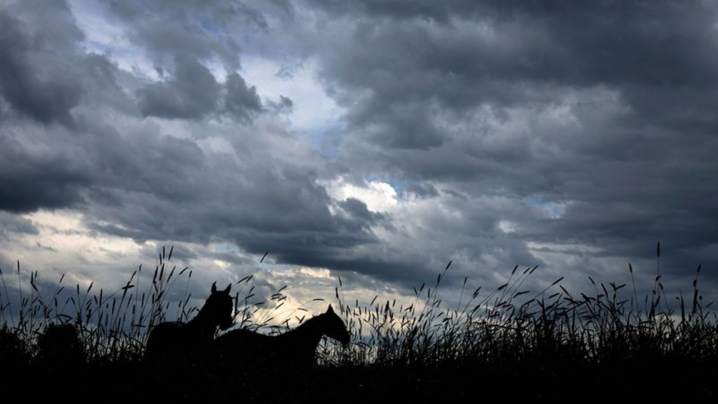 Deutscher Wetterdienst: DWD: Gewitter und Starkregen vor allem im Süden