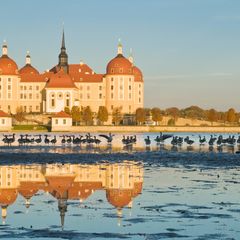 Schloss Moritzburg