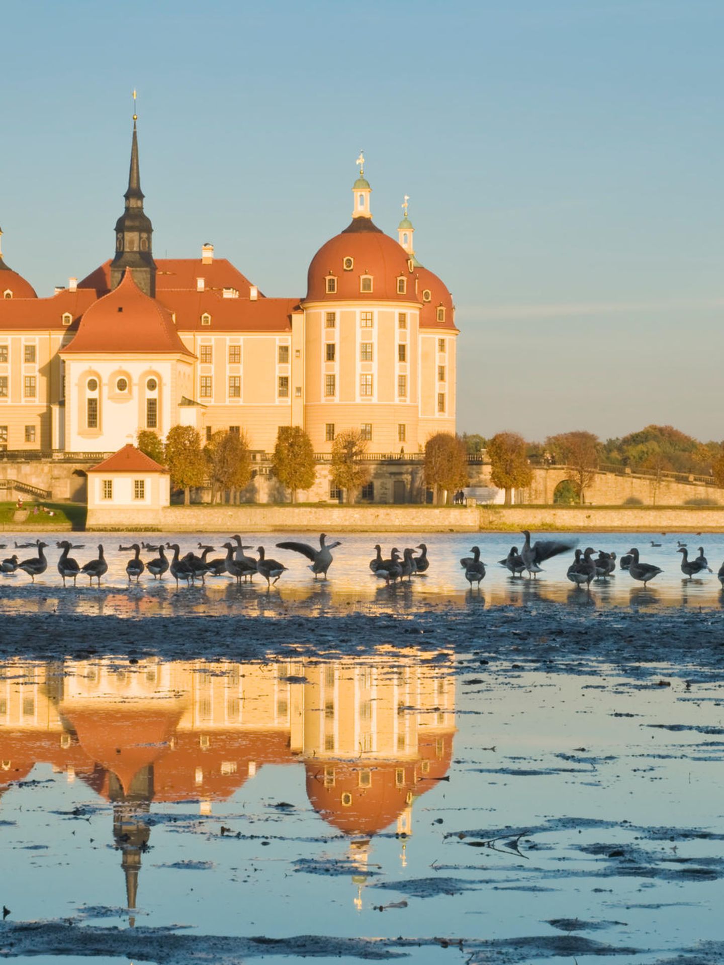 Schloss Moritzburg