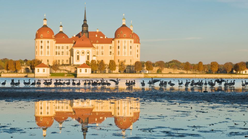 Schloss Moritzburg