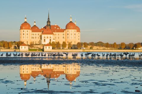 Schloss Moritzburg