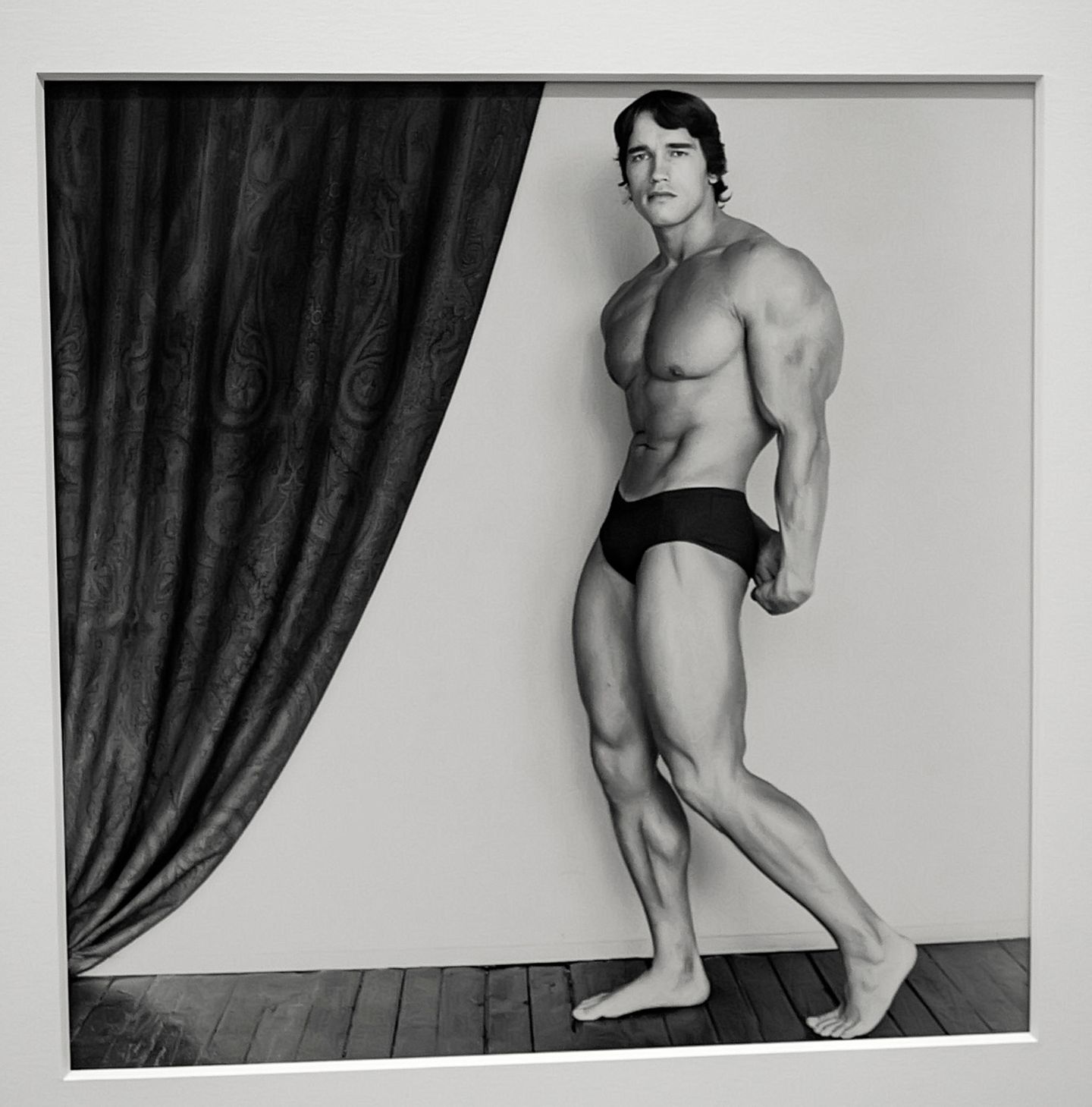 Arnold Schwarzenegger
