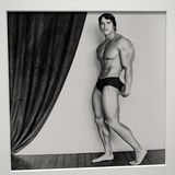 Arnold Schwarzenegger