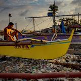 Die Behörden haben ein Fischfangverbot ausgerufen