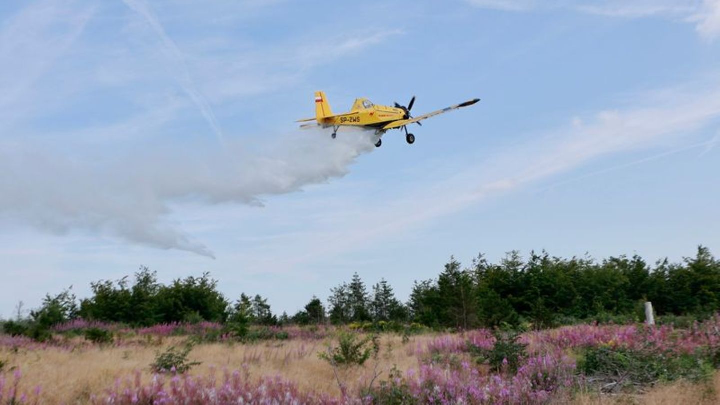Katastrophenschutz: Feuerwehr übt für Waldbrände im Harz mit Löschflugzeug