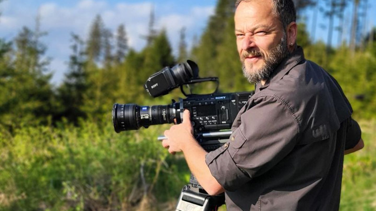 Fernsehen: Im Reich der Bäume: Die Natur-Doku 