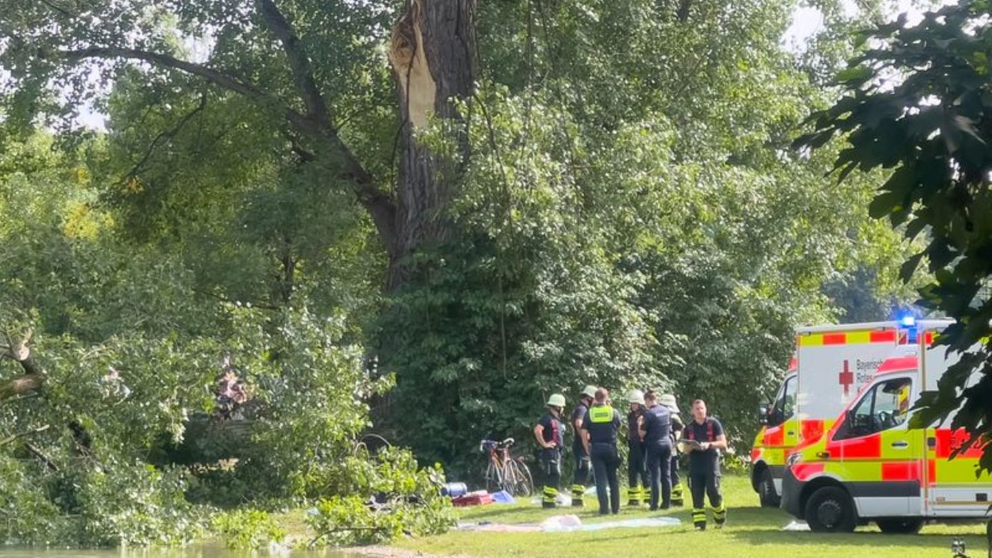 Riesenschreck: Abbrechender Ast verletzt zwei Menschen im Englischen Garten