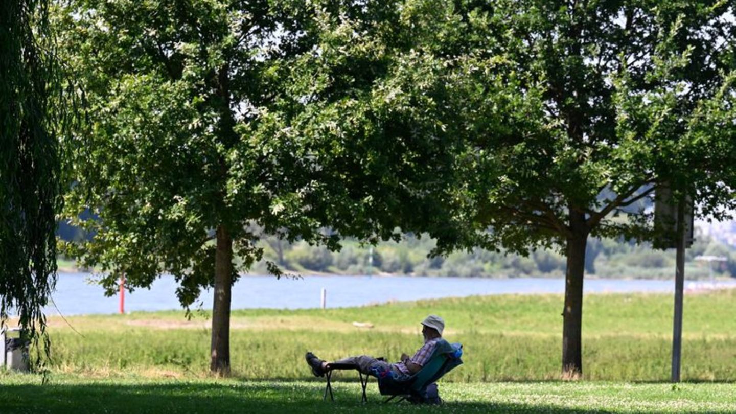 Heiße Sommer: NRW-Städte gegen Hitze - Aktionspläne und andere Maßnahmen