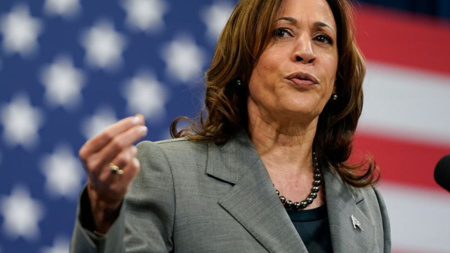 Faktencheck: Verstärkt Fake News über Kamala Harris im Umlauf