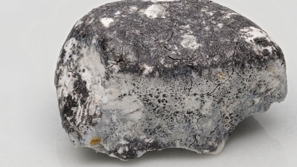 Fundstück Meteorit Ribbeck Fundstück Meteorit Ribbeck
