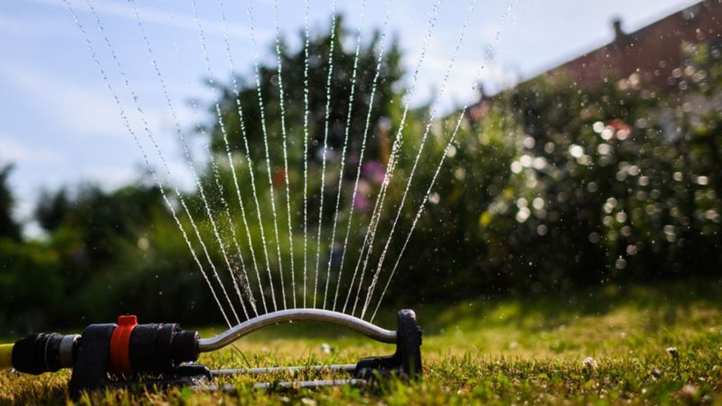 Umwelt: Landeshauptstadt Potsdam ruft zu Sparsamkeit mit Wasser auf