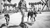Ein rauchender Mann mit offenem Hemd fährt Longboard und hält zwei große Hunde an der Leine