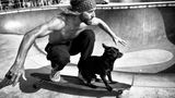 Ein oberkörperfreier Mann hockt auf einem fahrenden Longboard, vor ihm sein kleiner Hund.