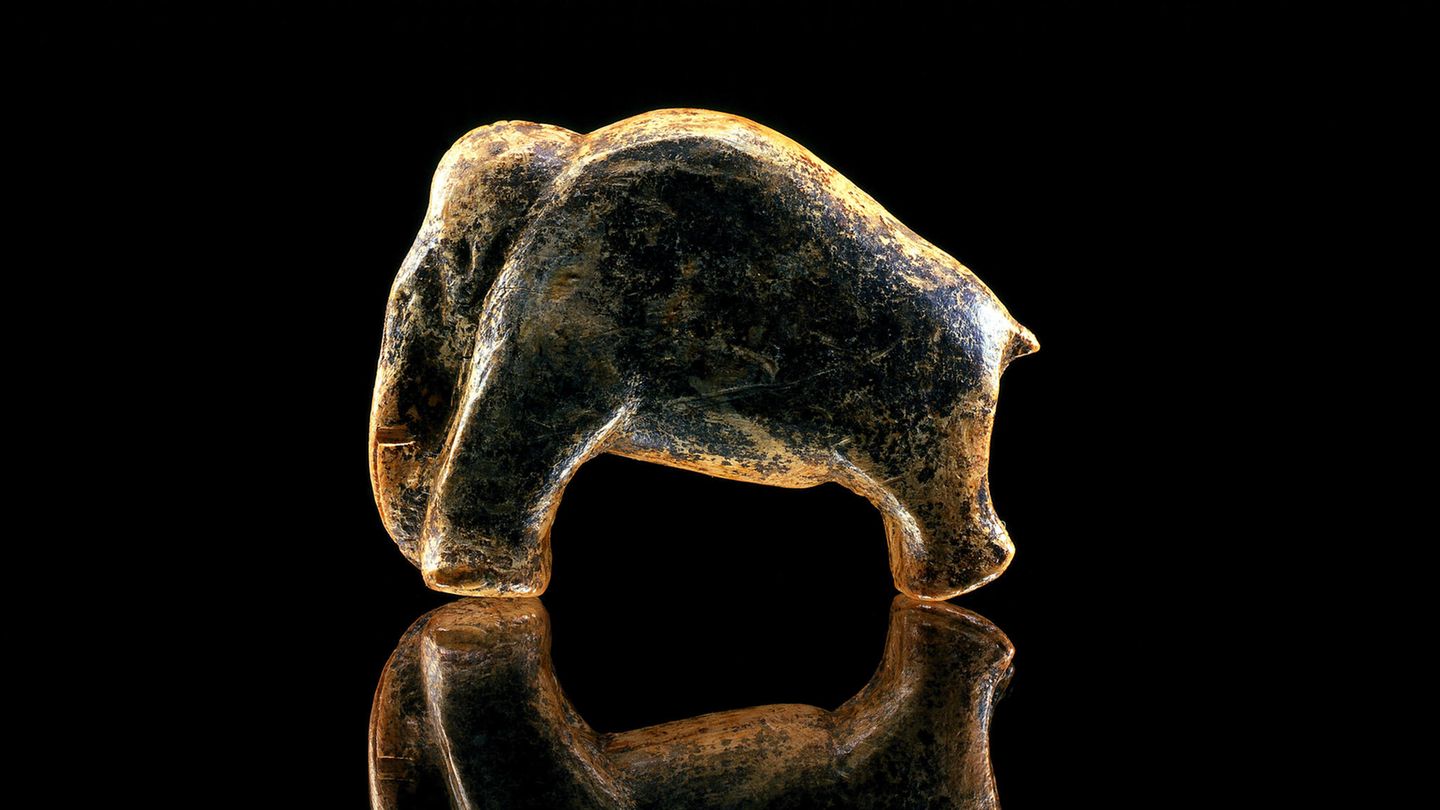 Mammut Mammut