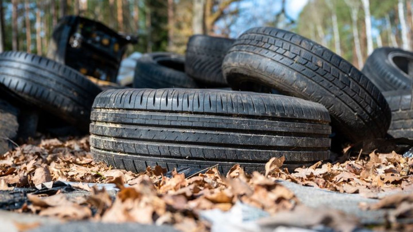 Vermüllung des Waldes: Größerer Abfall wird zum Problem in Wäldern