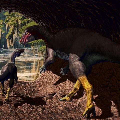 Dinosaurier Illustration Höhle
