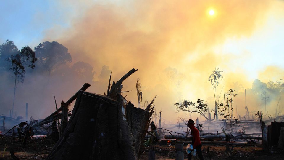 Ein Mann geht durch ein von Brändne zerstörtes Gebiet im Amazonas